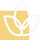 Μπαλκόνι με θέα Ακρόπολη