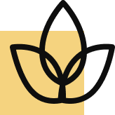 Θέα Ακρόπολη