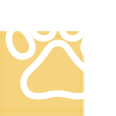 Επιτρέπονται τα κατοικίδια